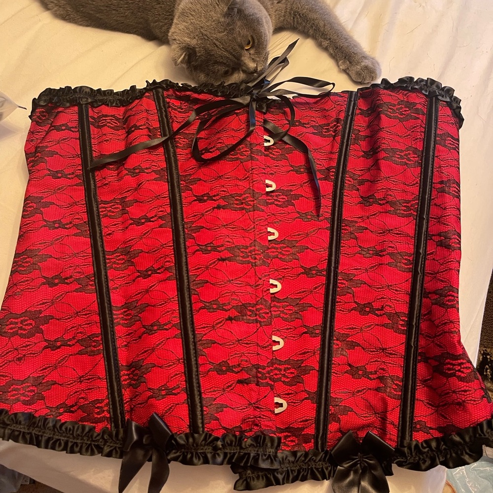 Womens Floral Black Lace Trim Corset Overbust Waist Cincher Bustier Top - plus